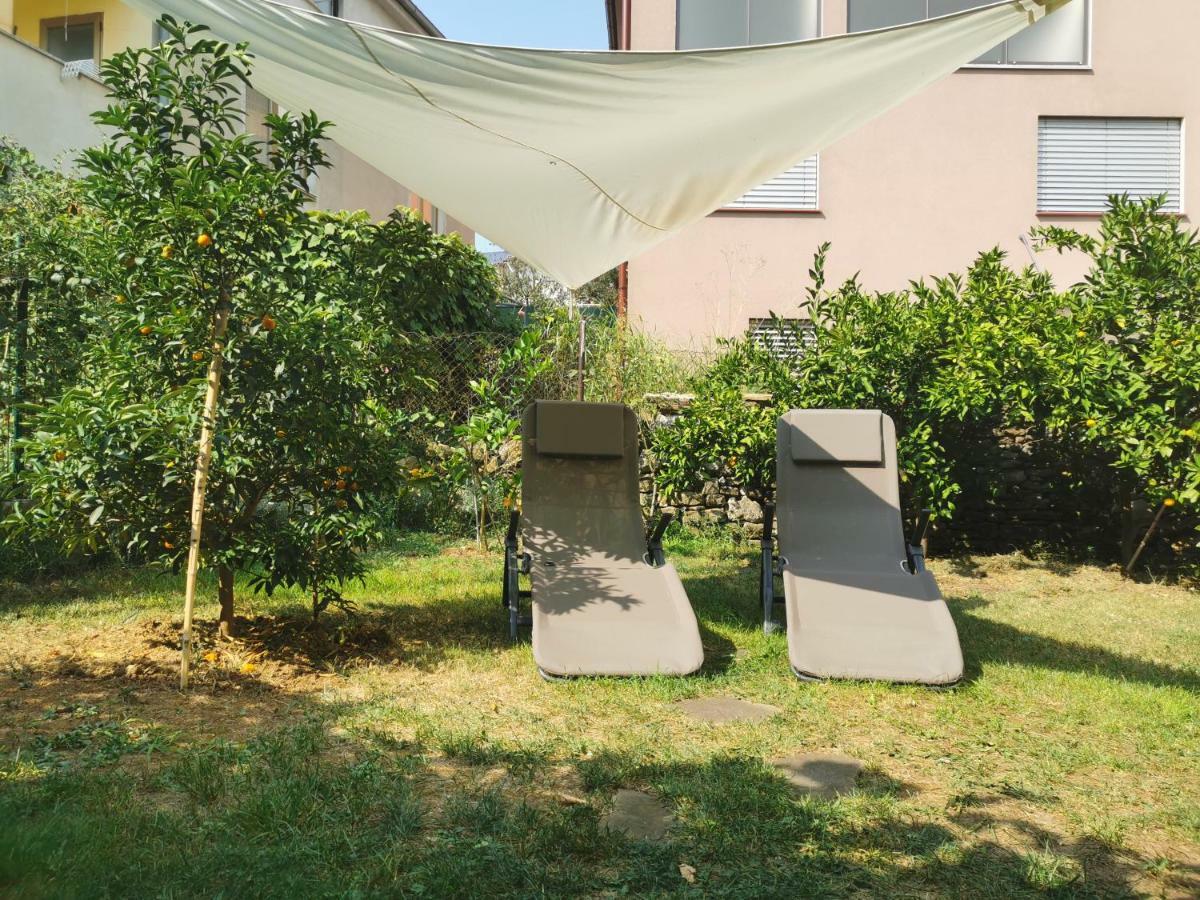 איזולה Medizen Apartment מראה חיצוני תמונה